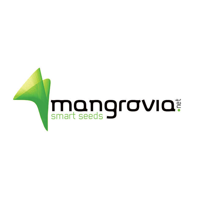 Mangrovia