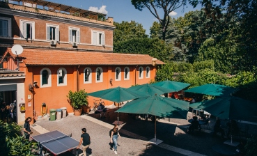 lemon tree courtyard