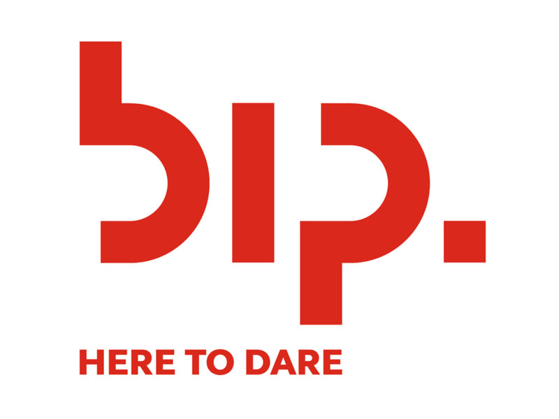 BIP Consulting