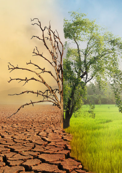 Climate Change