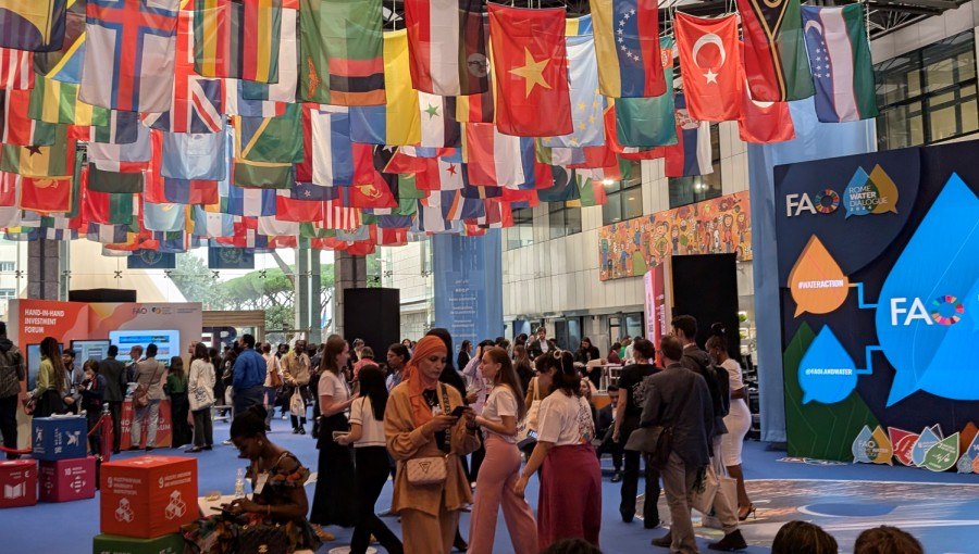 FAO World Food Forum 2024
