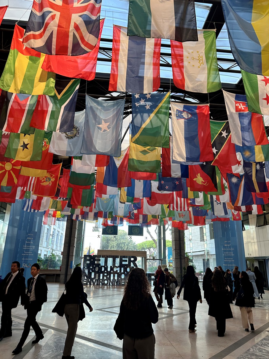 FAO in Rome